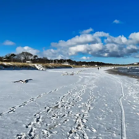 Meeresblume - * Baabe